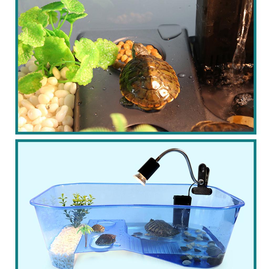 2 Pieces Plastic Reptile Terrapin Tortoise Turtle Tank Vivarium Feeding Box