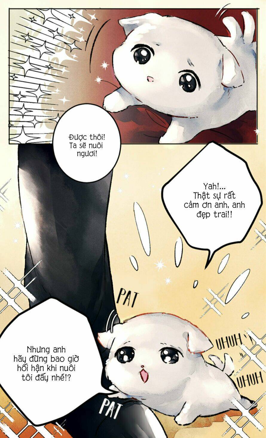cún con đáng yêu của vị hoàng đế! chapter 0 18
