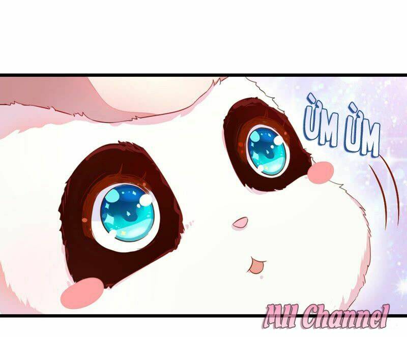 thiên thần gấu trúc muốn được ôm chapter 6 15