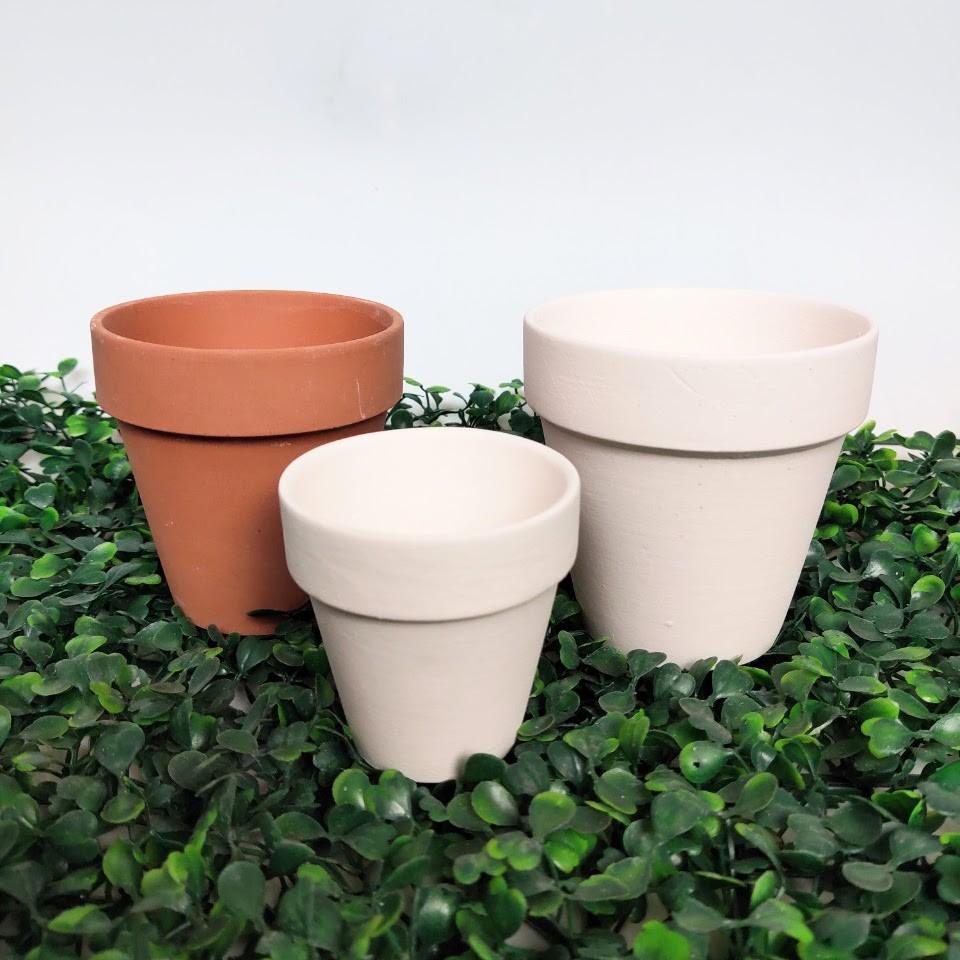 Chậu đất nung xinh xắn, phù hợp trồng sen đá