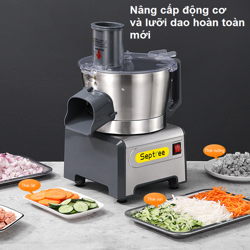 HÀNG CHÍNH HÃNG - Máy thái rau củ quả đa năng chuyên nghiệp dùng cho trường học, nhà hàng, khách sạn. Thương hiệu Mỹ cao cấp Septree - Q1F