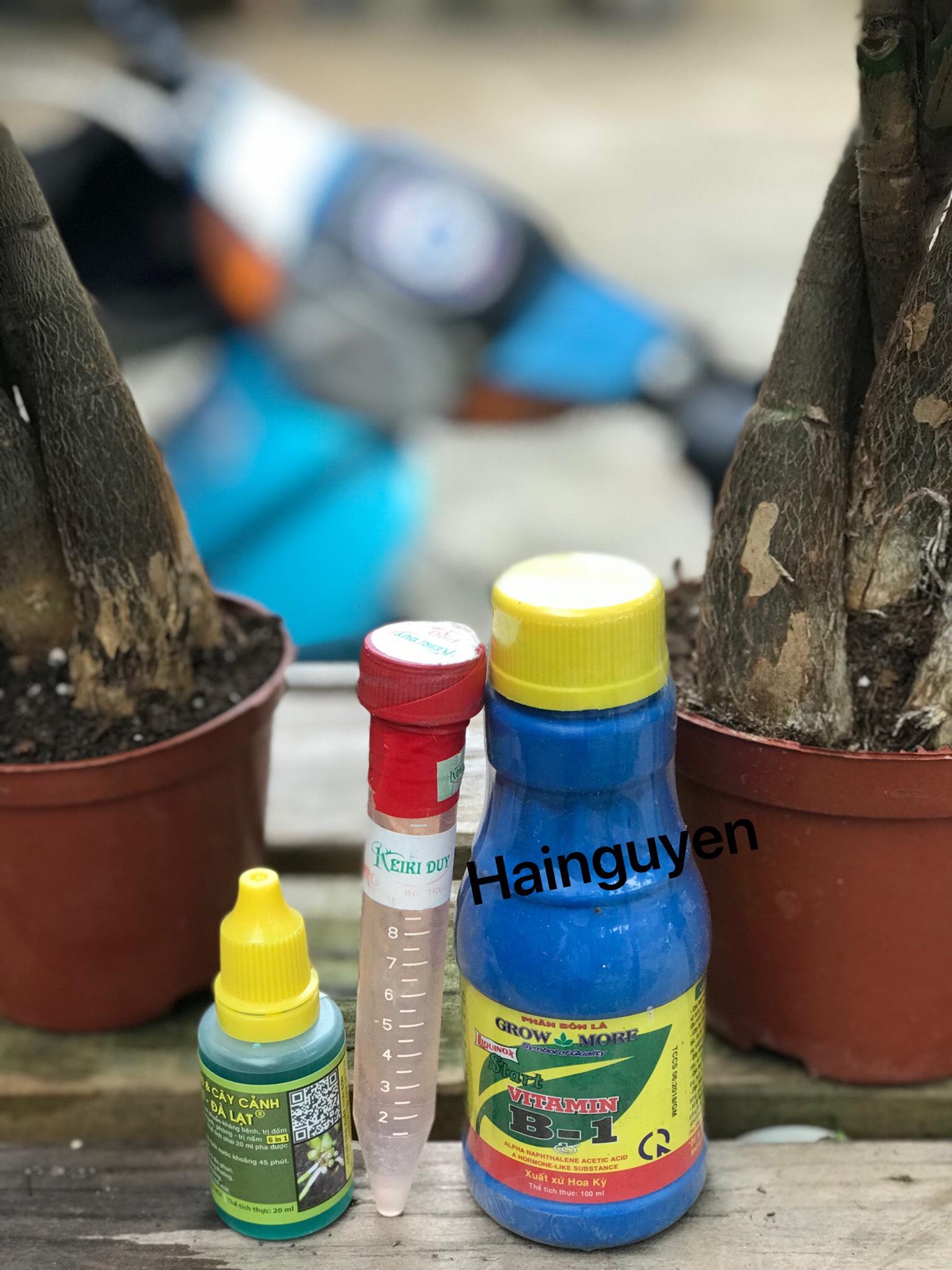 Combo 3 sản phẩm chăm sóc - kích ki cho hoa lan