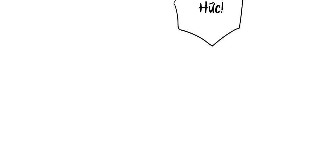 guide cấp b chapter 40 79