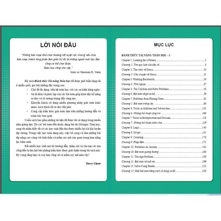 Sách Đánh Thức Tài Năng Toán Học 2 và 3, Bộ 2 cuốn toán lớp 2,3,4 ( 8-10 tuổi )