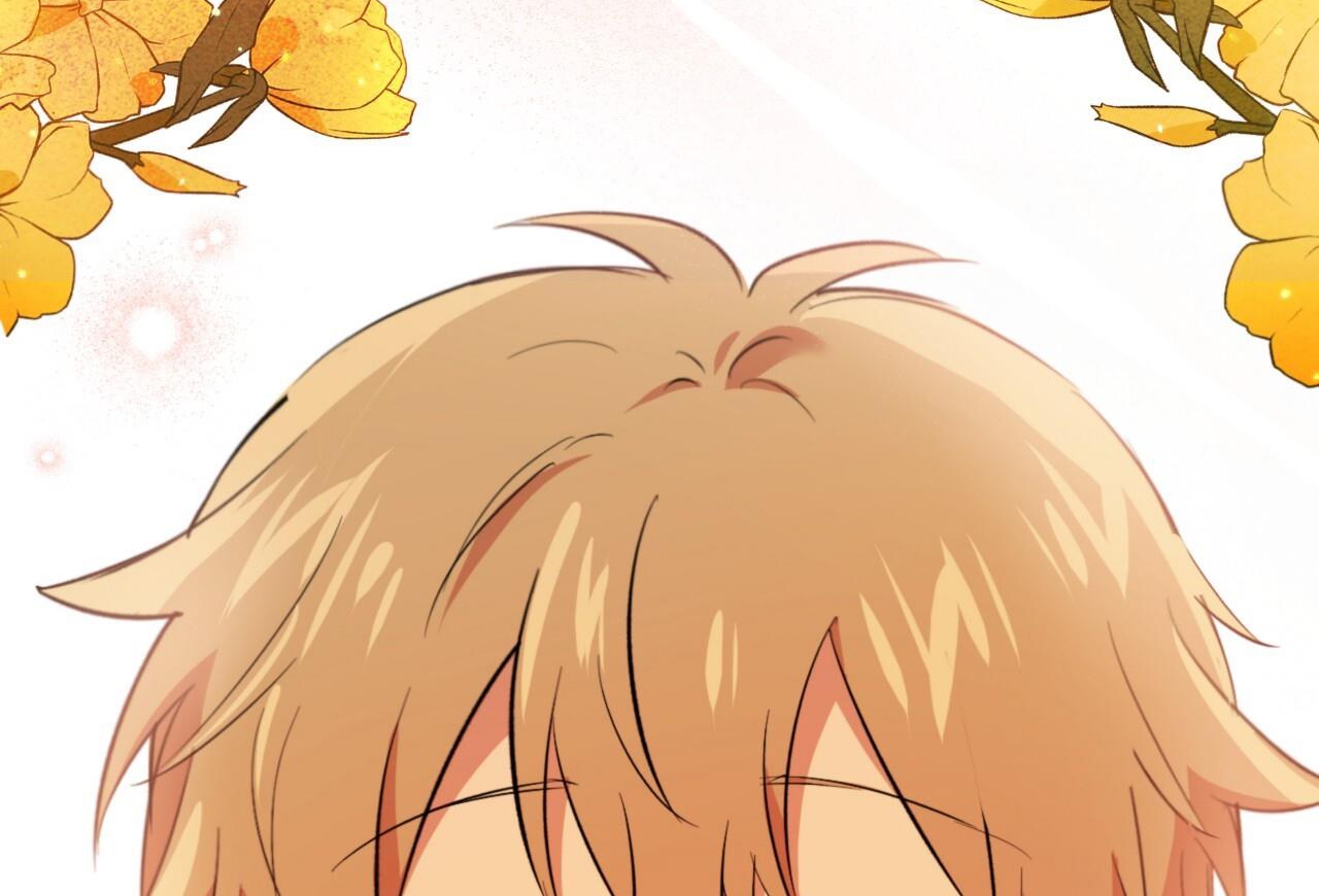 đàn thỏ của habibi chapter 65 212