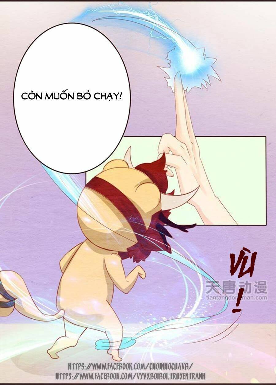 nhân hoa duyên chi sư phụ đại nhân cầu sủng ái chapter 11 4