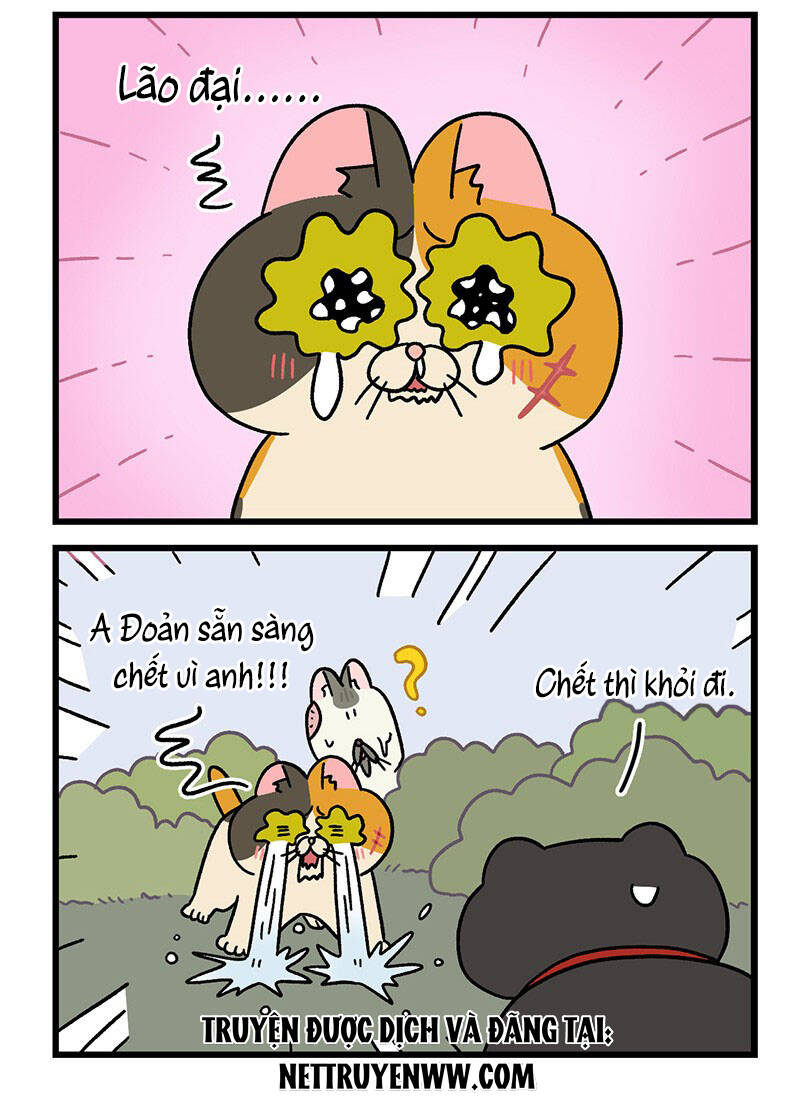 a mãn và mạch trà chapter 41 6