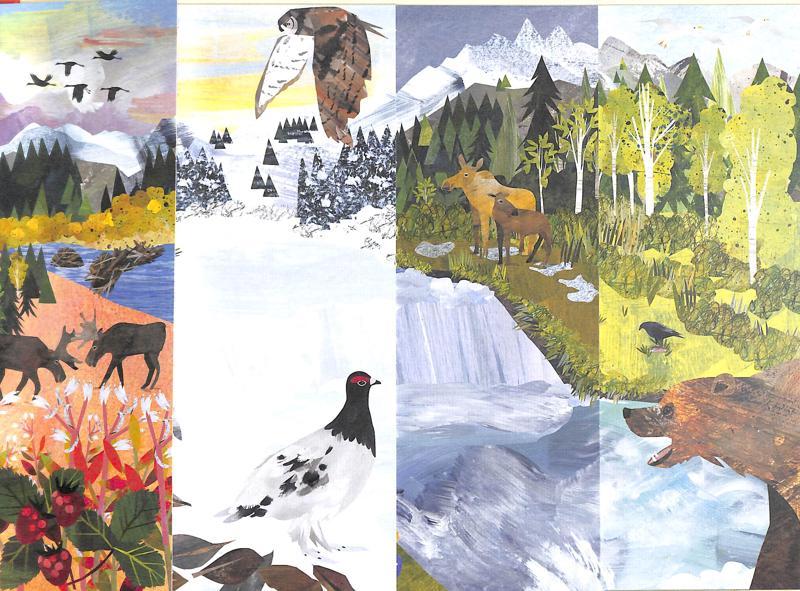 Seasons