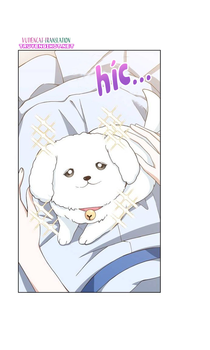 lời cầu hôn đến từ hoàng đế chapter 20.1 41