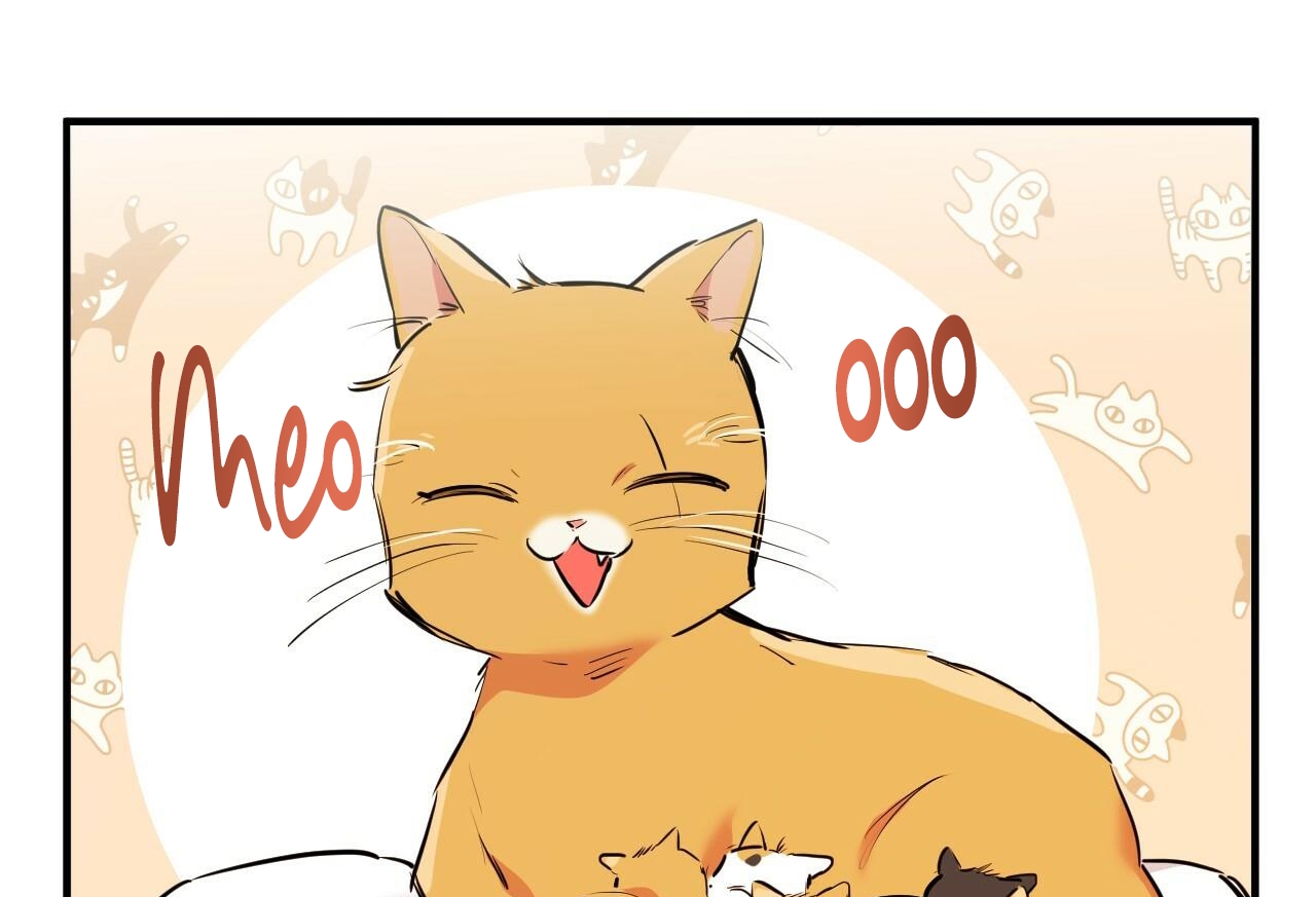 đàn thỏ của habibi chapter 32 10