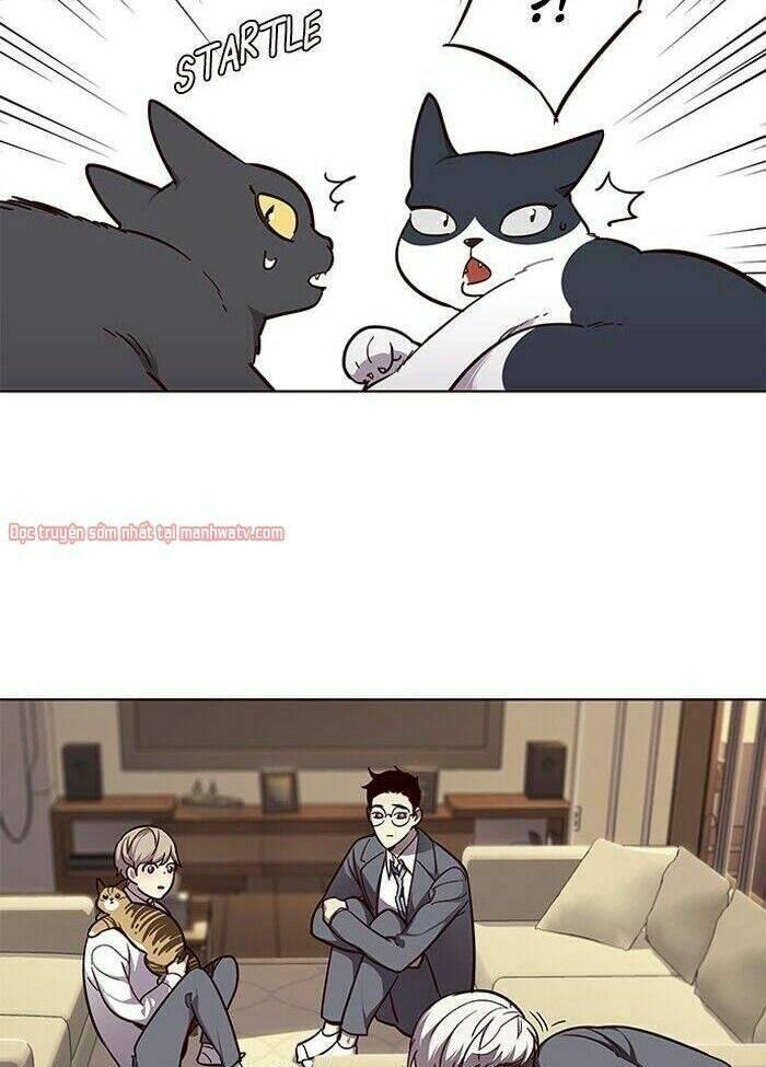 biến thân thành mèo chapter 50 20
