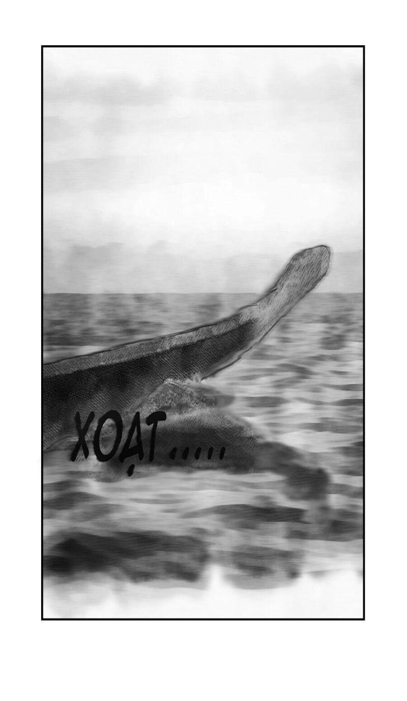 việt trí chapter 1 2