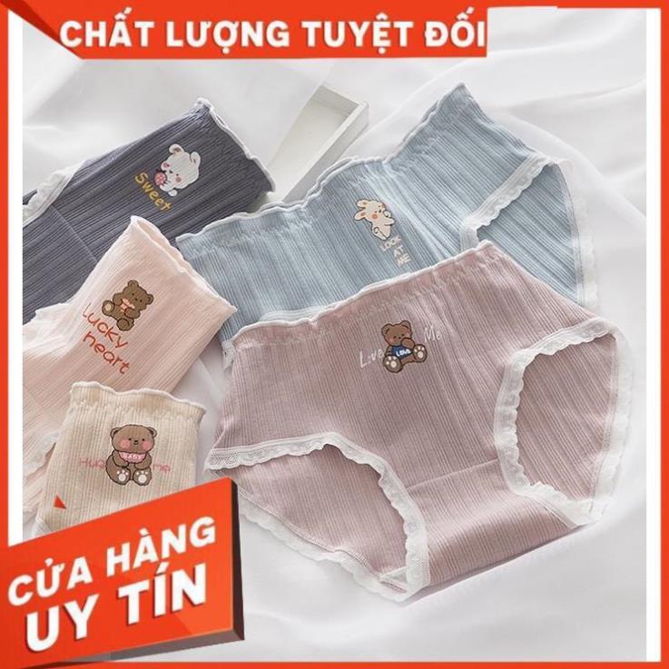 Quần Lót Nữ ️ Quần Cotton Nữ Phối Viền Họa Tiết Hình Thỏ và Gấu 485