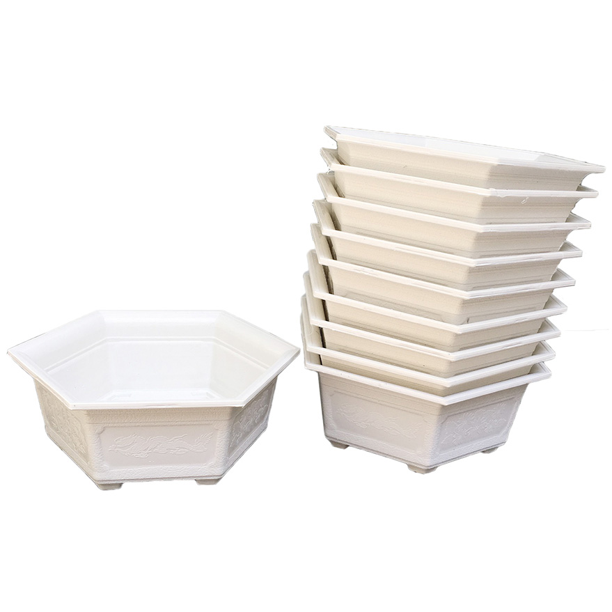 Combo 10 chậu bonsai lục giác nhỏ đường kính 21cm