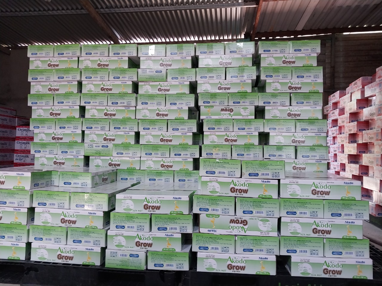 SỮA BỘT PHA SẴN AKODO GROW 110ML