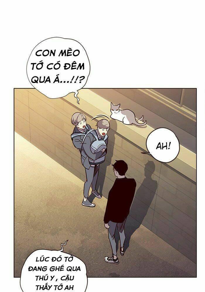 biến thân thành mèo chapter 11 65