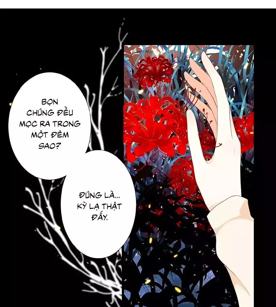hoa chưa nở rộ chapter 21 8