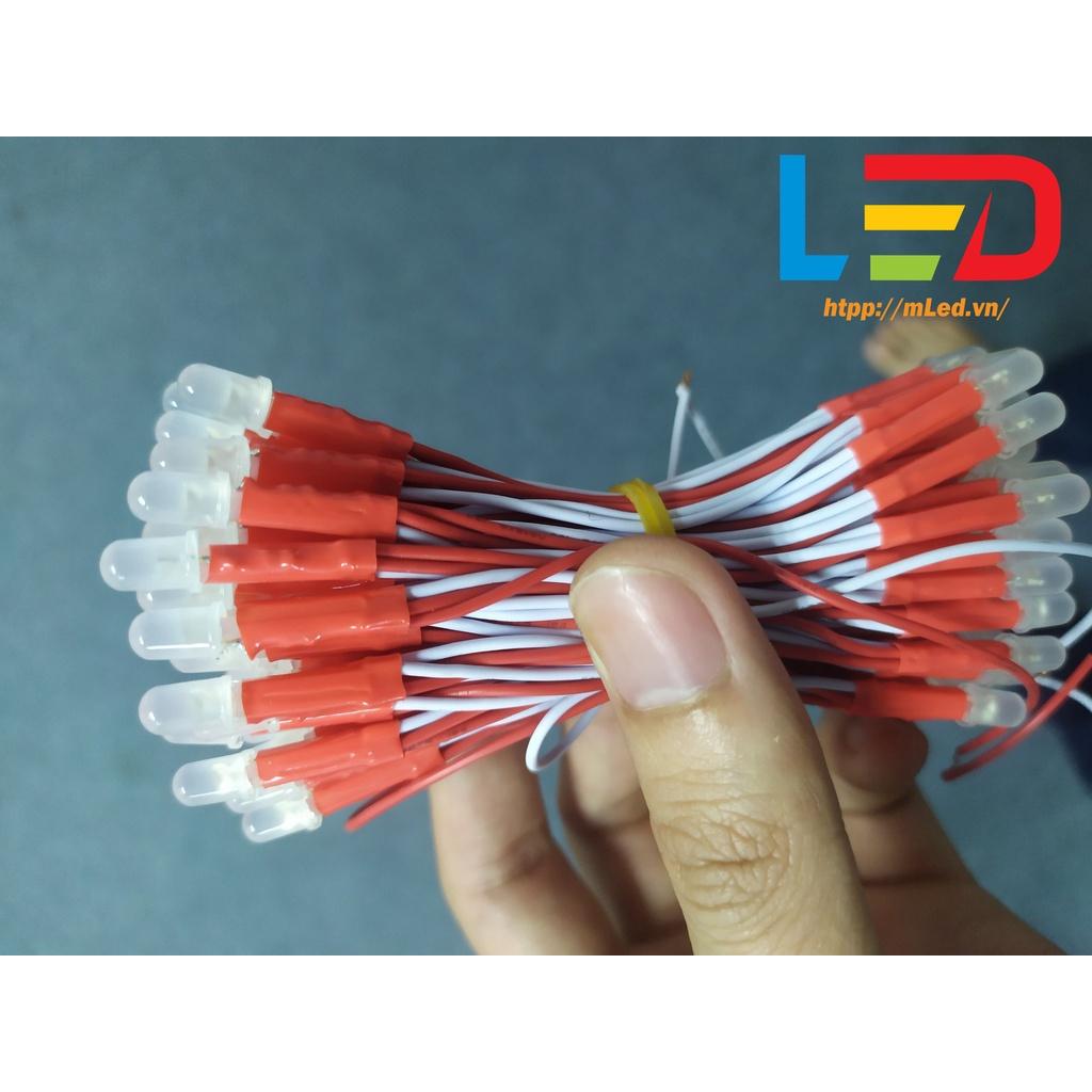 Led liền dây 100 bóng điện áp 5V và 12V, Led ruồi đơn sắc