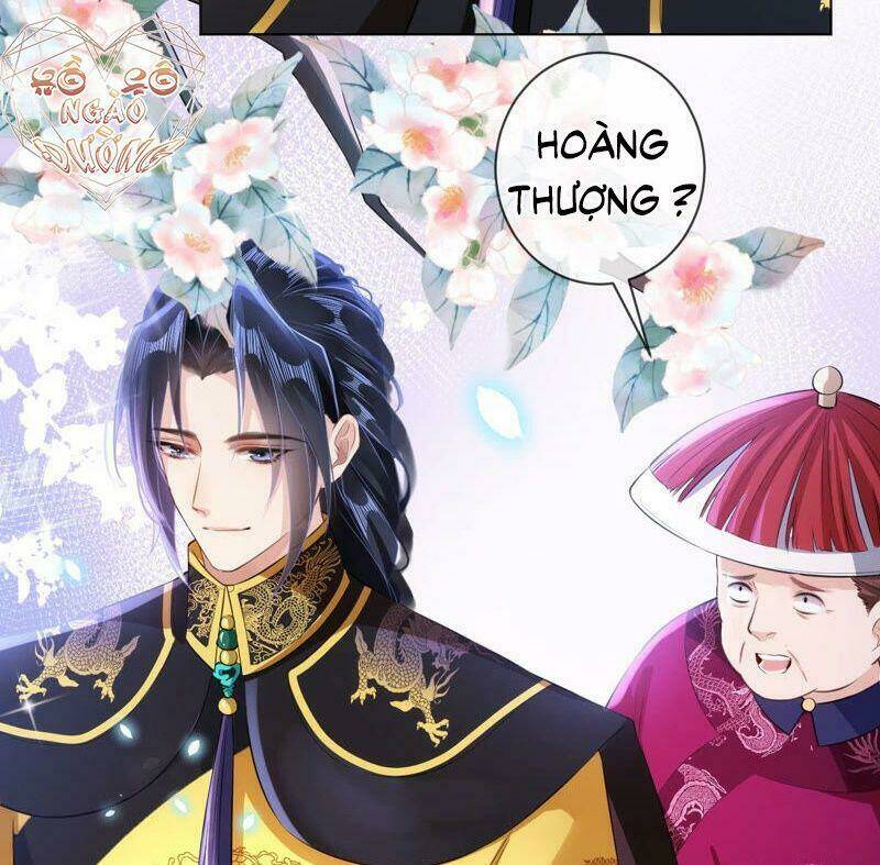 quận chúa vững vàng, thiết lập nhân vật không thể vỡ chapter 35 44