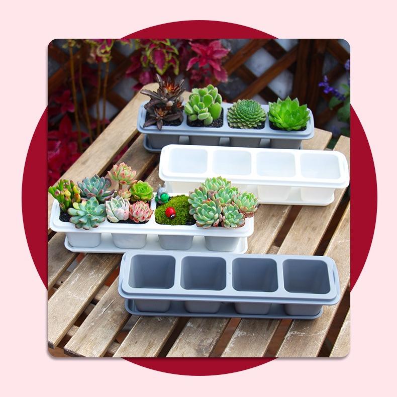 Chậu trồng sen đá Oliz T1 - Chậu trồng cây mini. Bao gồm khay lót đáy chậu cây