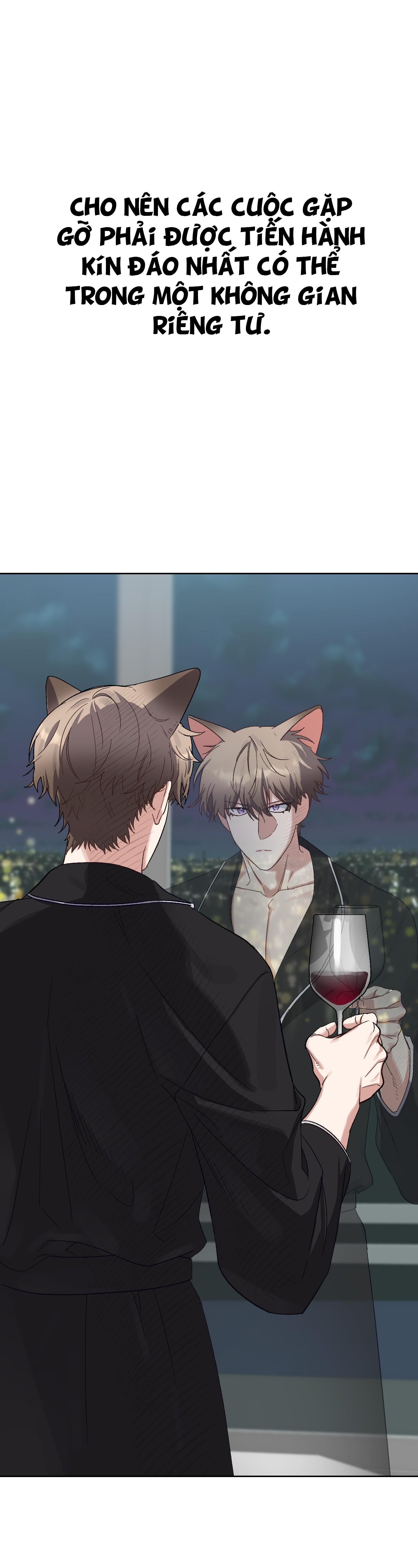 chú thỏ chỉ cần 3 giây là xuất tinh chapter 1 25