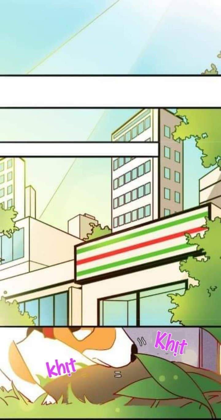 gấu nhỏ dư và thỏ thỏ hứa chapter 9 20