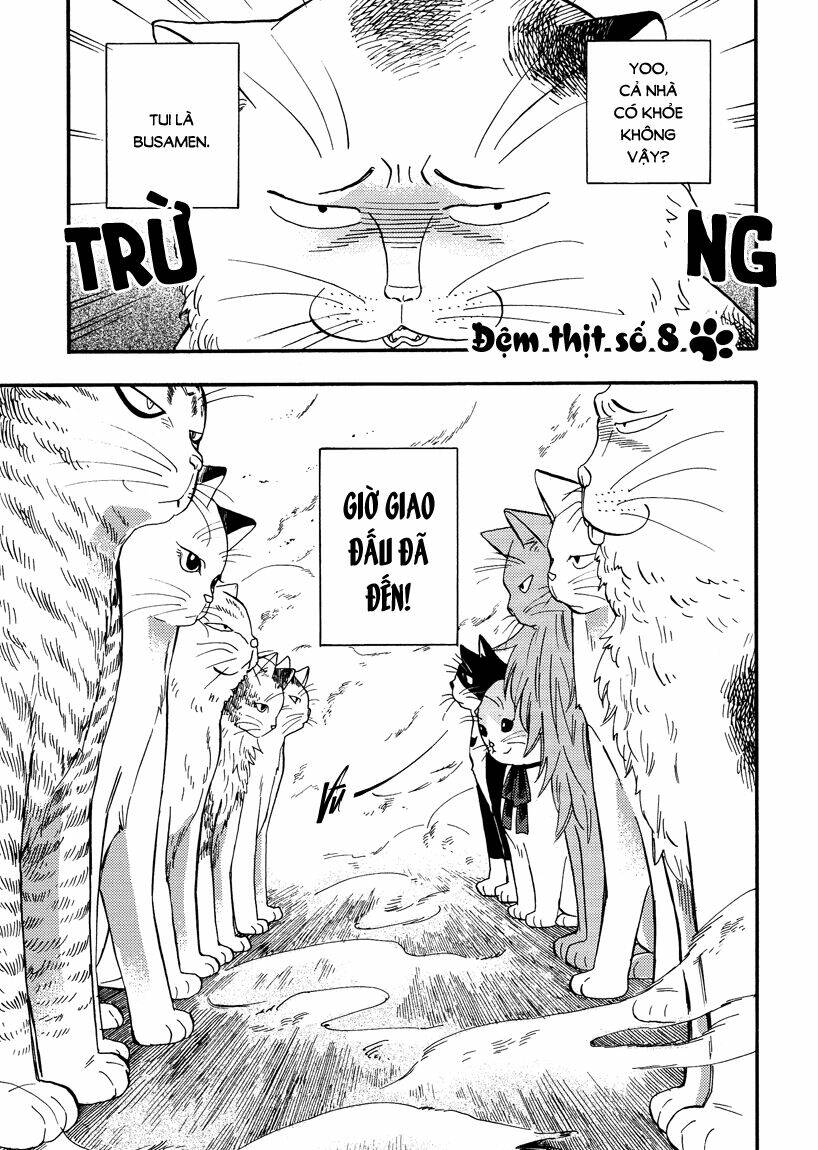 tui là busamen! chapter 8 1