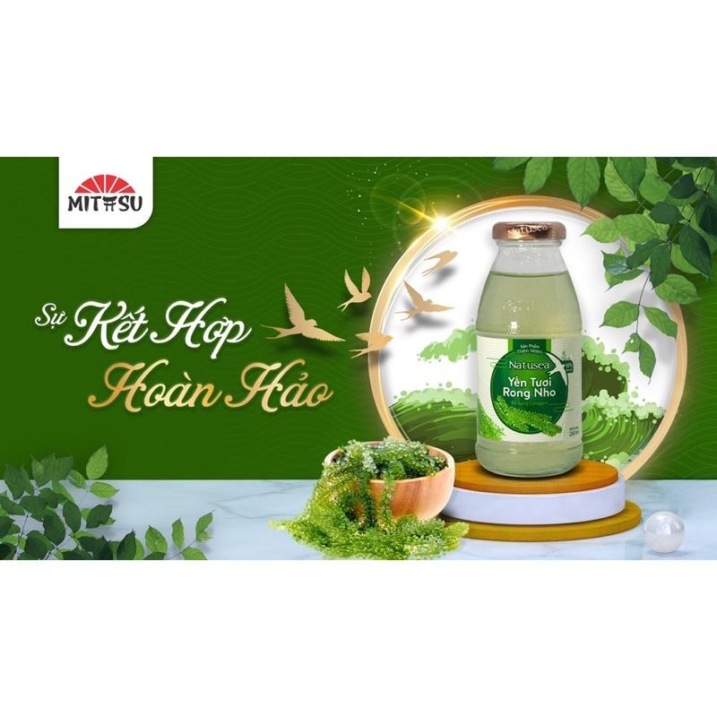 NƯỚC YẾN TƯƠI RONG NHO NATUSEA