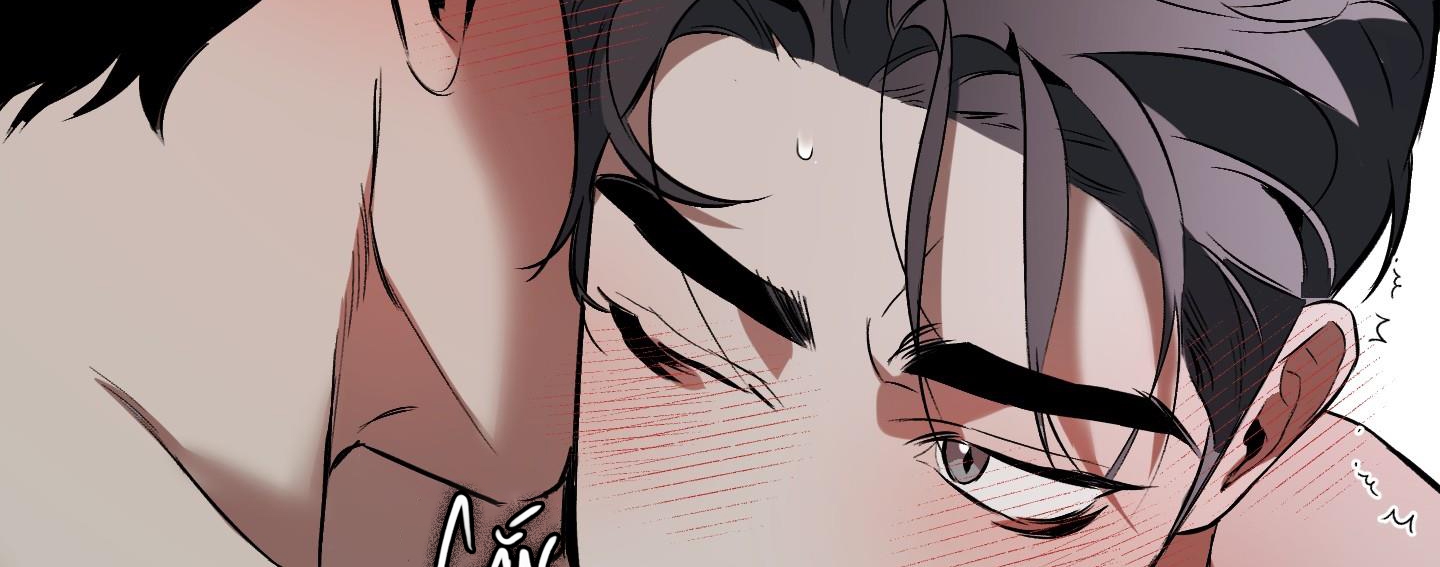 định rõ mối quan hệ chapter 41 202