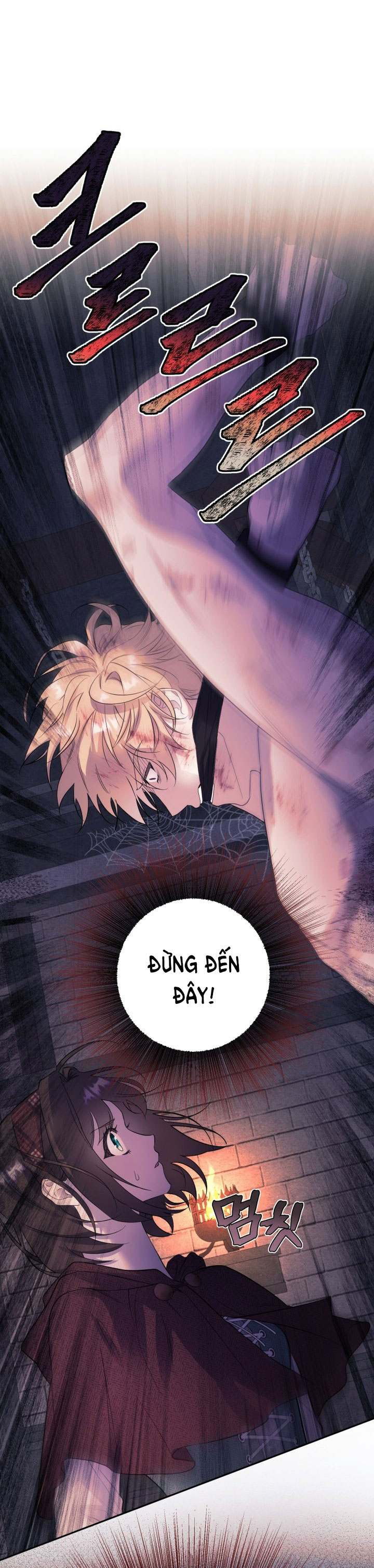 [18+] nếu cứu rỗi một cầm thú hư hỏng chapter 3.2 28