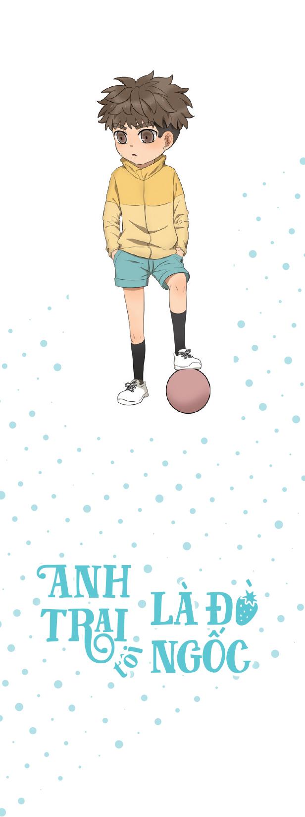 Anh Trai Tôi Là Đồ Ngốc - Tập 2 - Bản Quyền