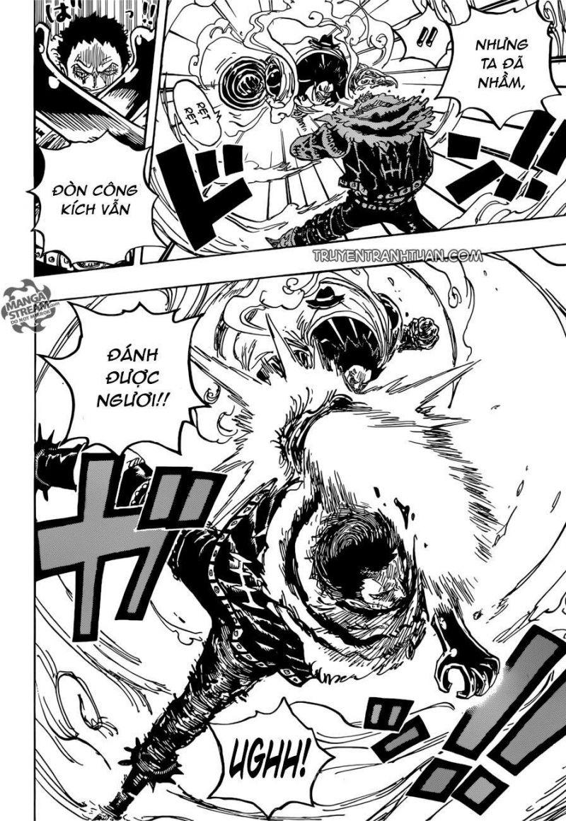 đảo hải tặc - one piece chapter 884 5