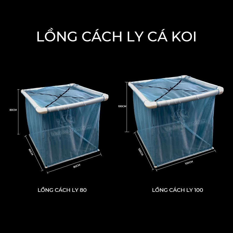 Lồng Cách Ly Cá Koi 80cmx80cmx80cm và 1mx1mx1m