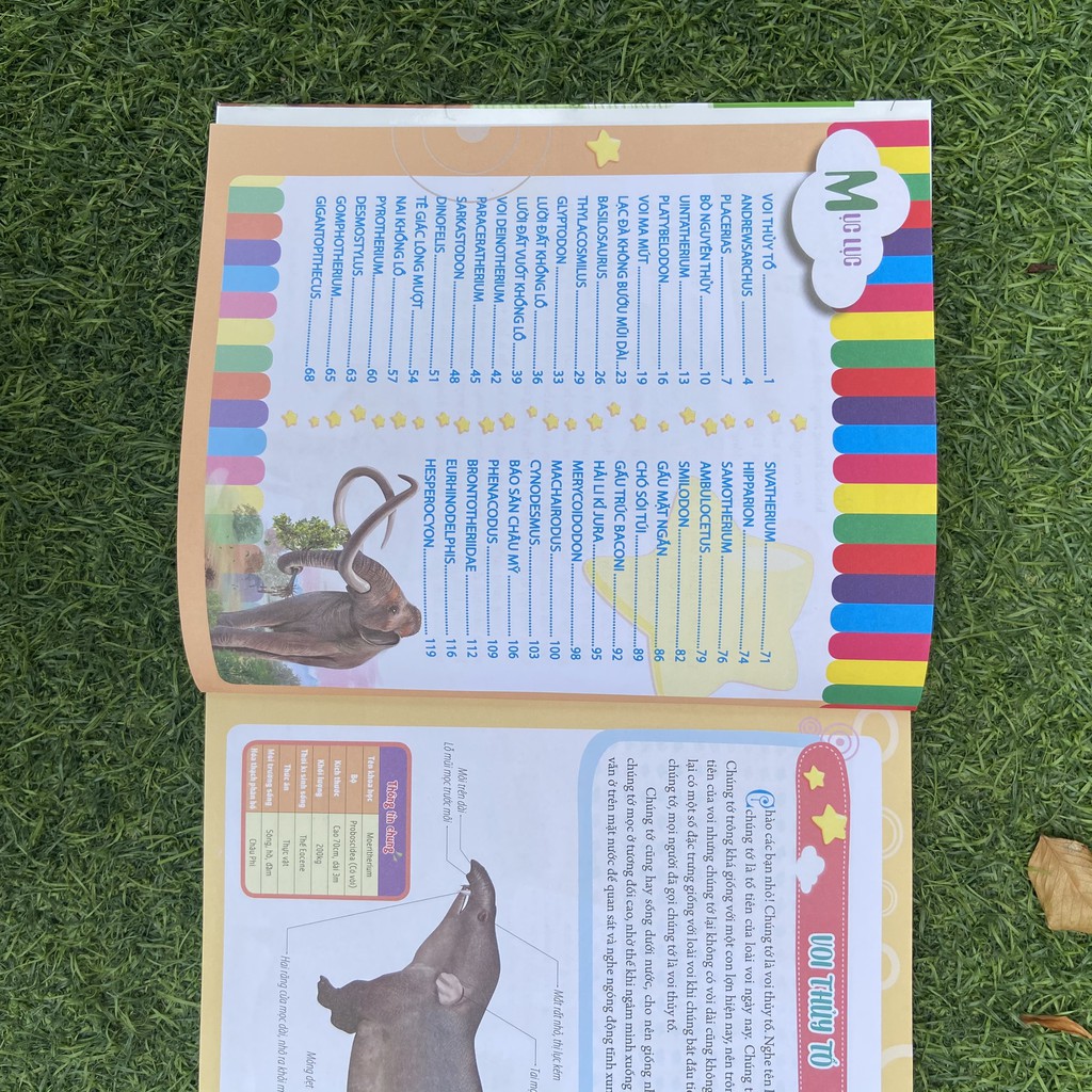 Sách- Bách Khoa Động Vật Dành Cho Trẻ Nhỏ - Động Vật Tiền Sử