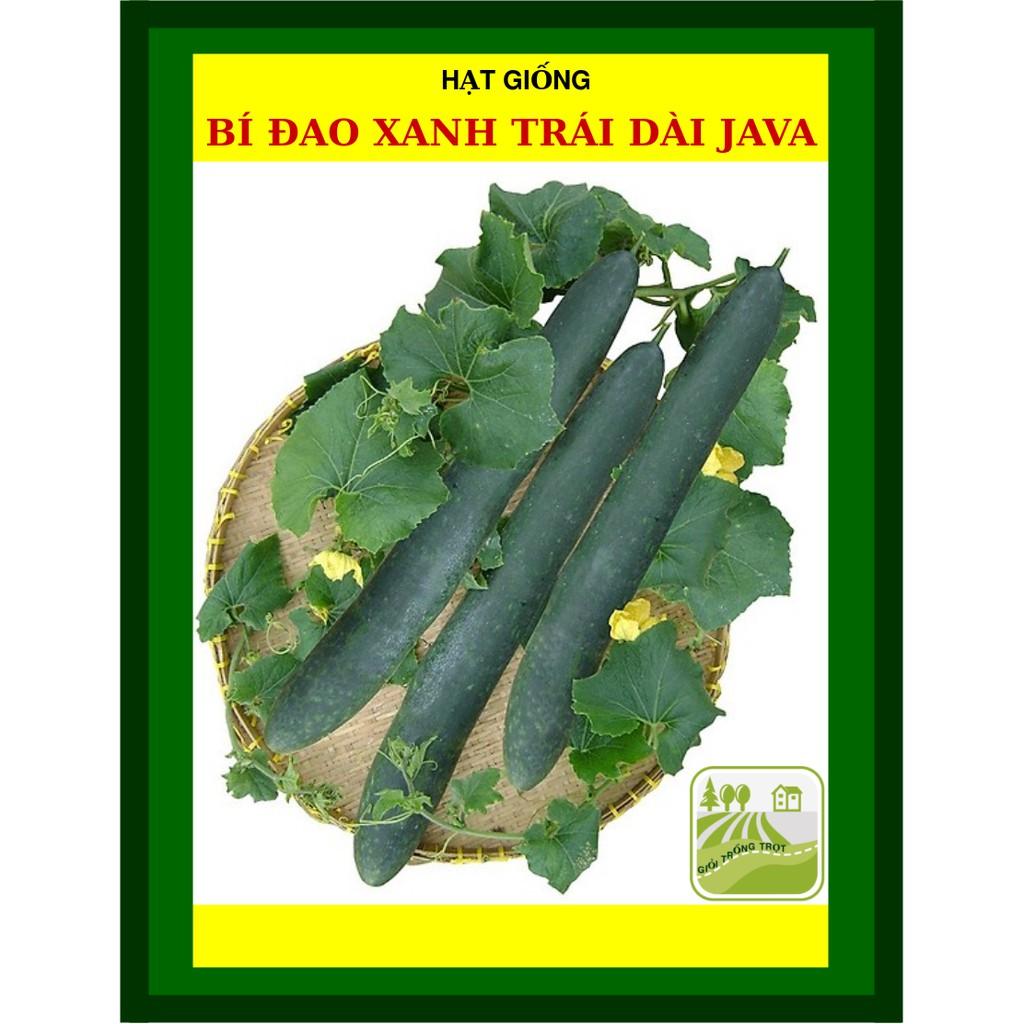 Hạt Giống Bí Đao Xanh Trái Dài F1 Java 0.2 Gram
