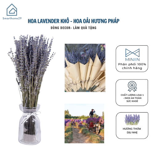 Bó Hoa Khô Lavender Thơm Dịu 100 Cành Hoa Oải Hương Vintage Trang Trí Décor Nhà Cửa Làm Quà Tặng Kỷ Niệm - HÀNG CHÍNH HÃNG MINIIN