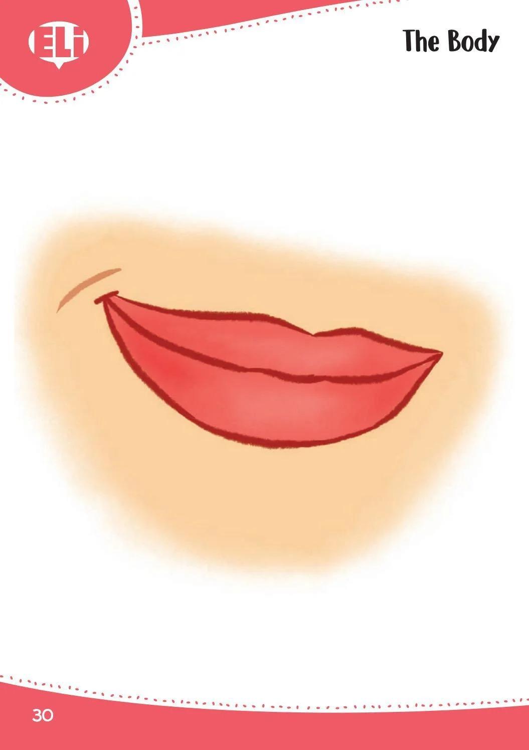 Sách ngoại văn: Words In Pictures (Printed Flashcards With Digital Code)