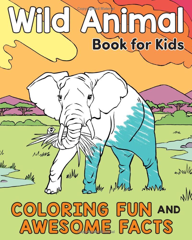 Sách ngoại văn: Wild Animal Book For Kids