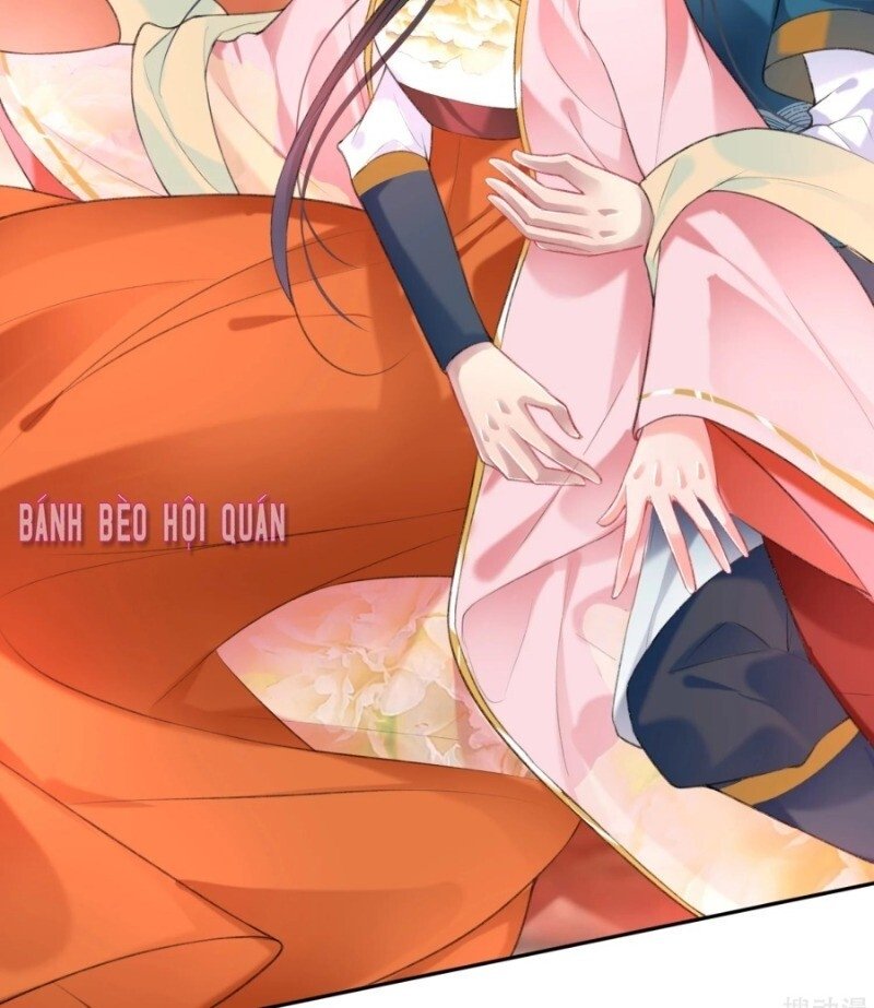 vương gia, áo lót của ngươi rơi mất rồi chapter 41 30