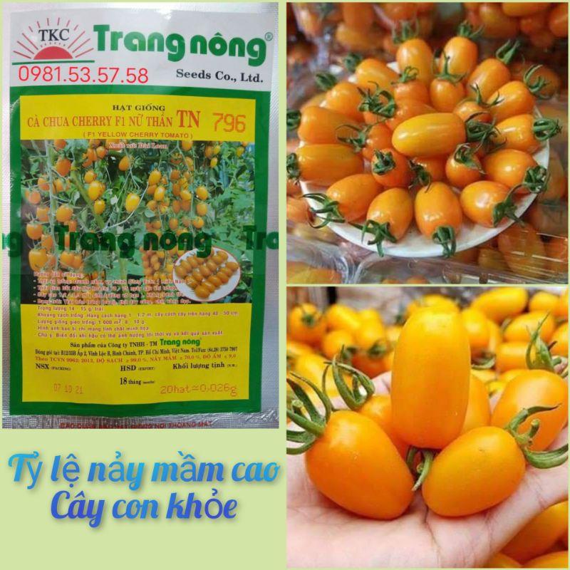 HẠT GIỐNG CÀ CHUA TRÁI CÂY NOVA