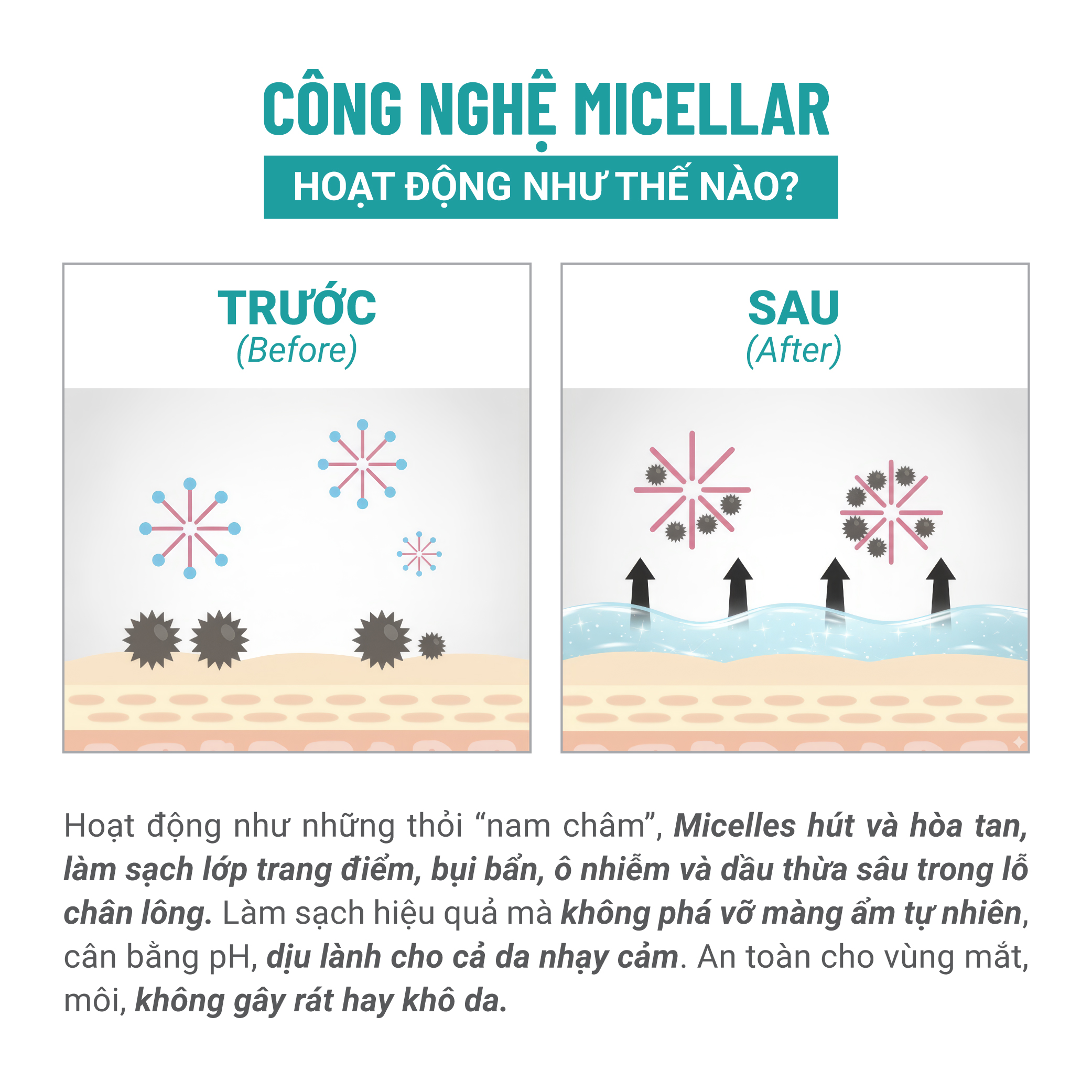 Nước Tẩy Trang Thuần Chay Nha Đam Xương Rồng Heebee’s Sạch Sâu, Dịu Nhẹ, Ngừa Mụn, Cho Da Nhạy Cảm, Không Khô Da 110ml