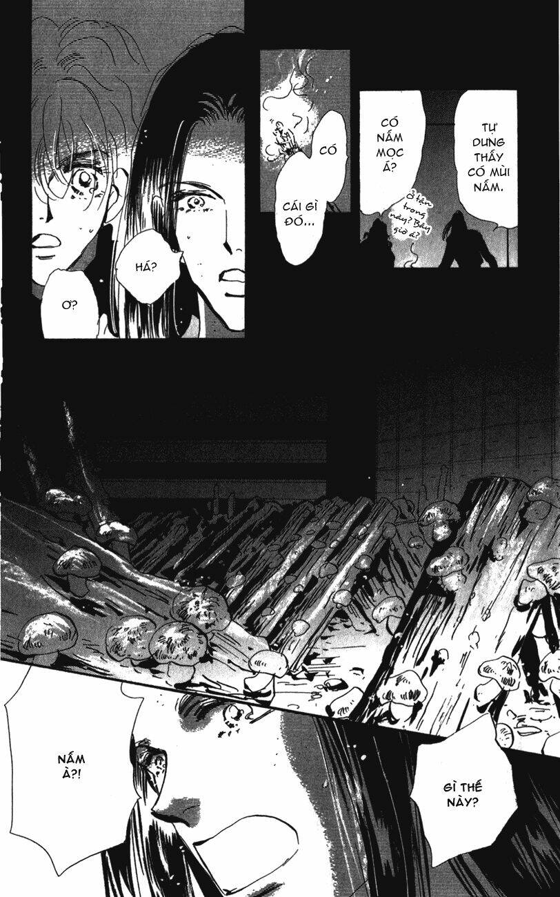 7 mầm sống chapter 114 21