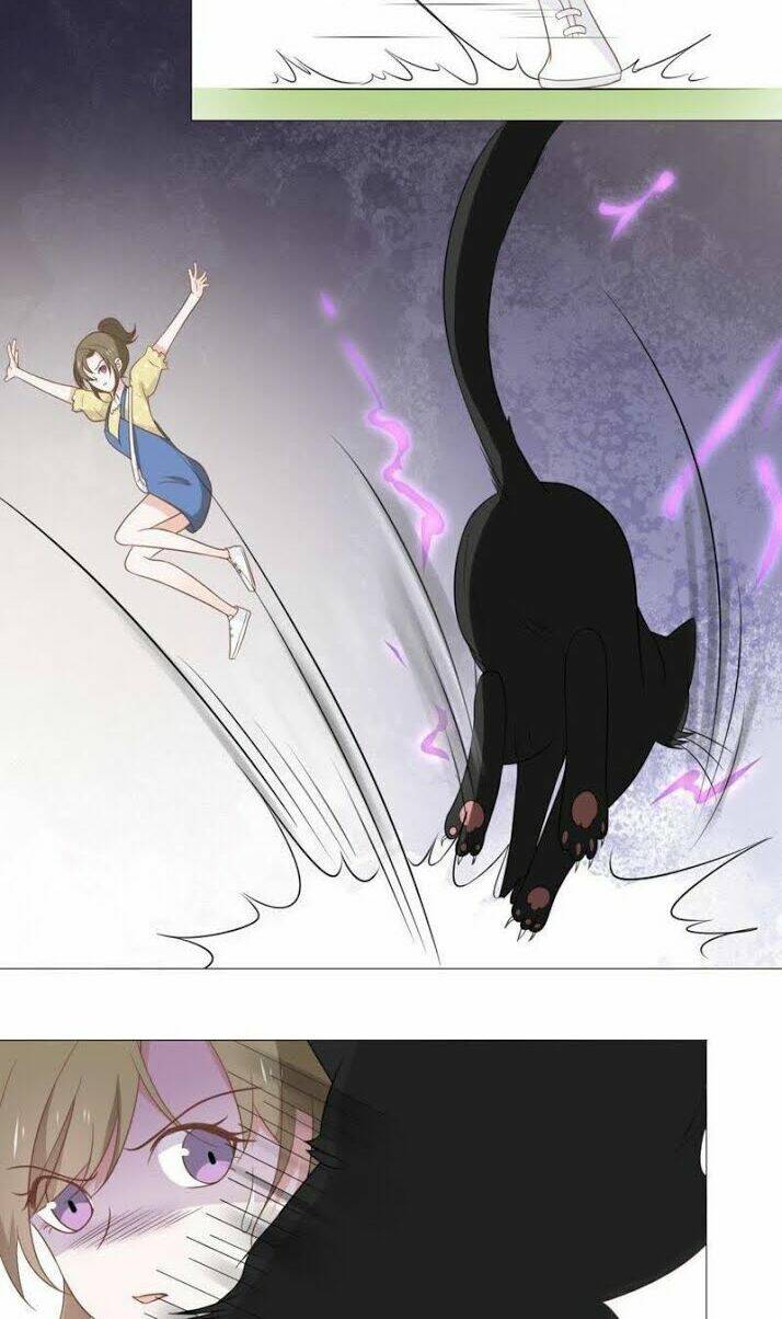 thập nhị hắc miêu chapter 10 21