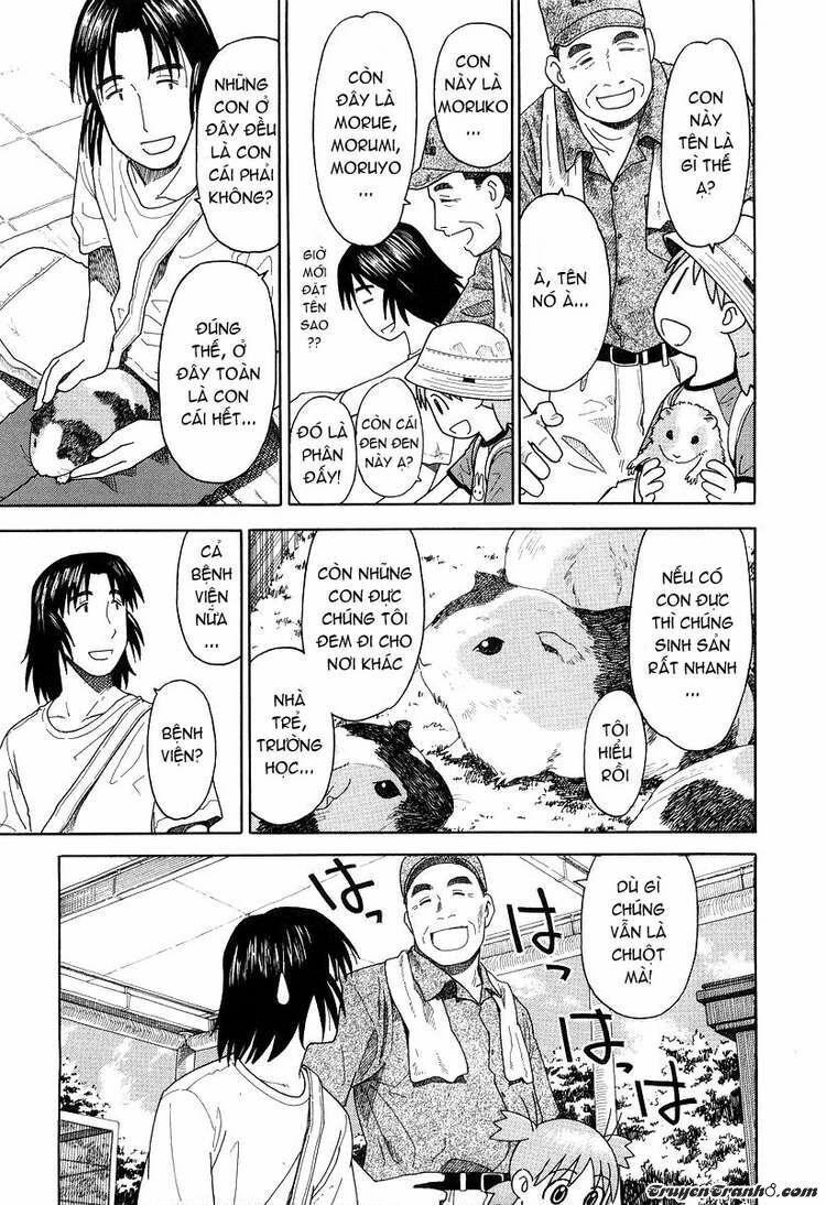 yotsubato! chapter 19 15
