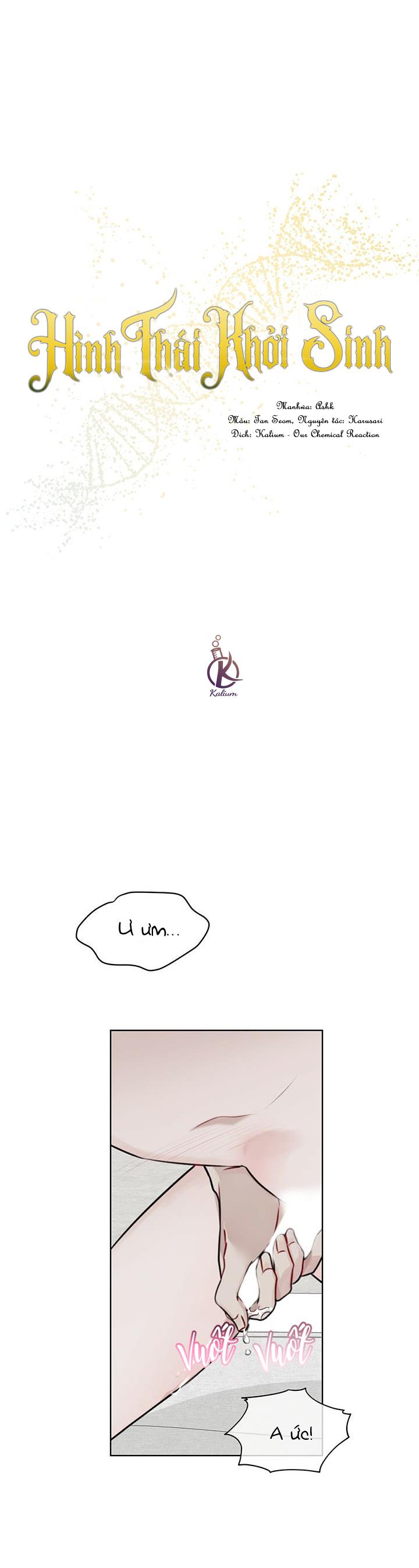 hình thái khởi sinh chapter 19 4