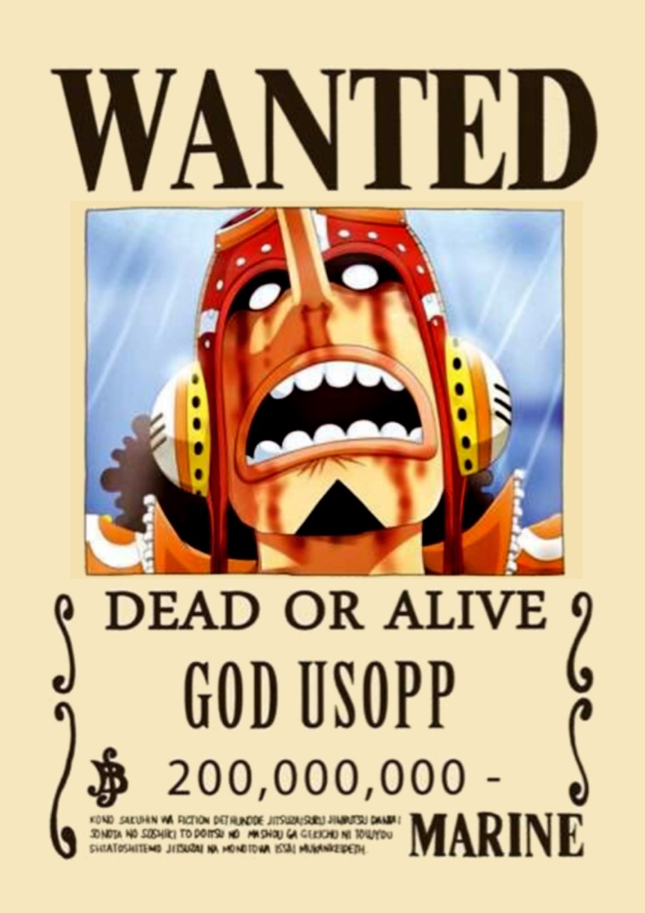 Tranh poster truy nã ONE PIECE combo 10 tấm A4