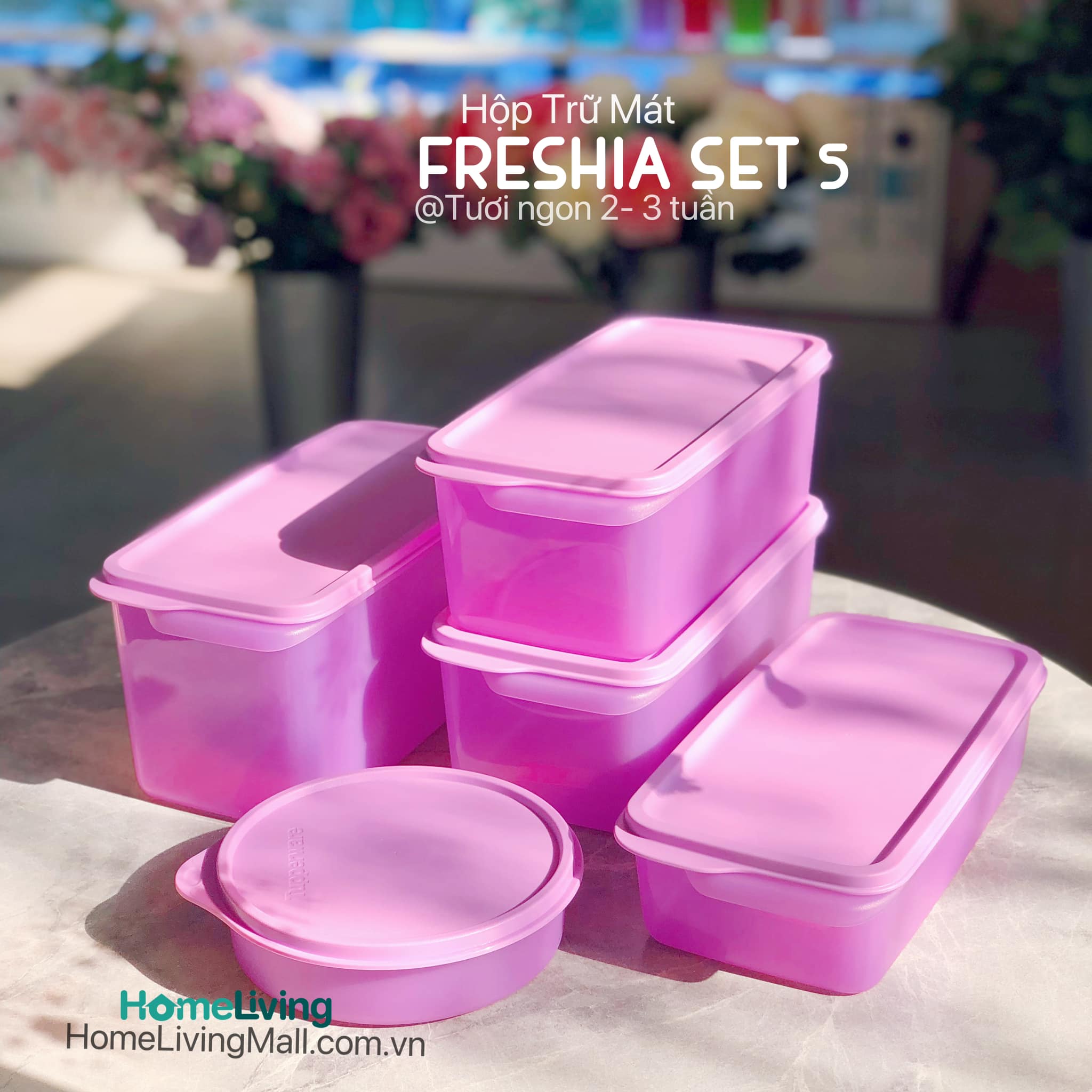 Bộ Trữ Mát &amp; Khô Tupperware Freshia Purple Set 5