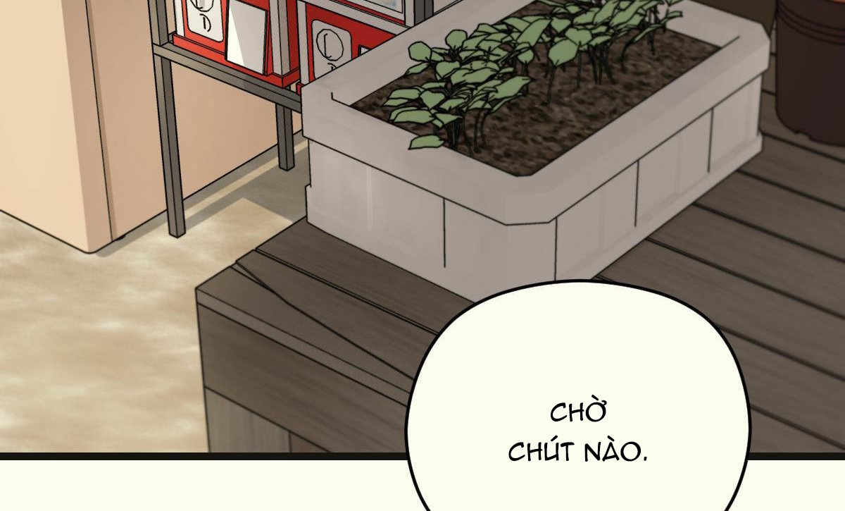 tương phùng chapter 15 284