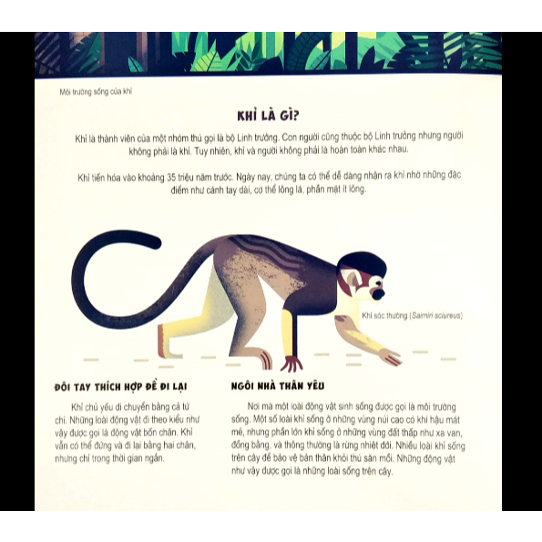 Sách - Những điều chưa biết về… - Khỉ