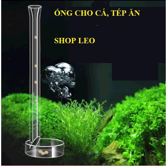 ỐNG THỦY TINH CHO CÁ TÉP ĂN - ỐNG THỦY TINH